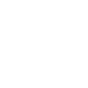 Detection Icon